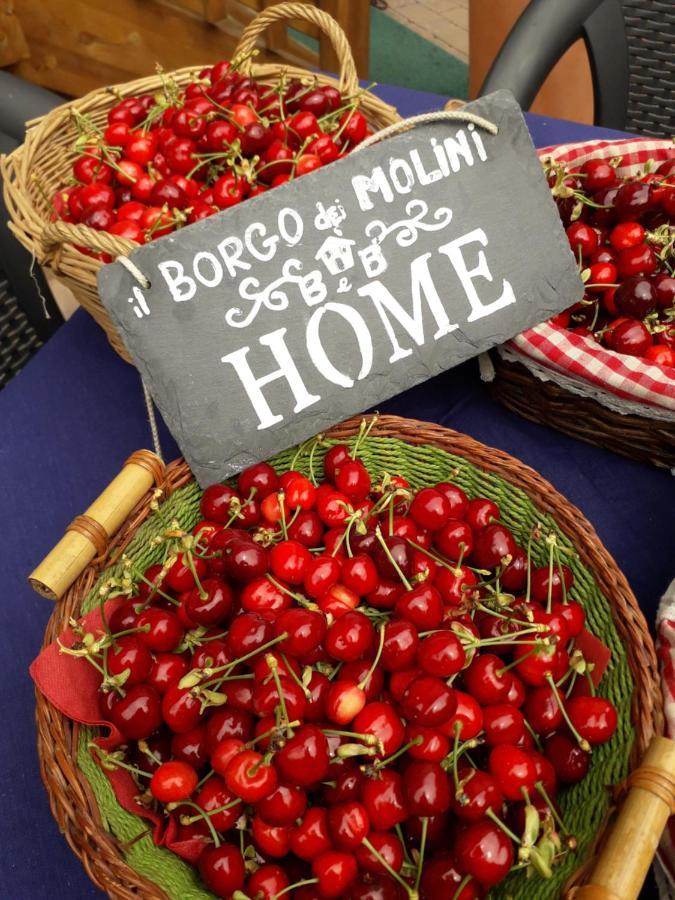 Il Borgo Dei Molini Bed and Breakfast Torreglia Eksteriør billede